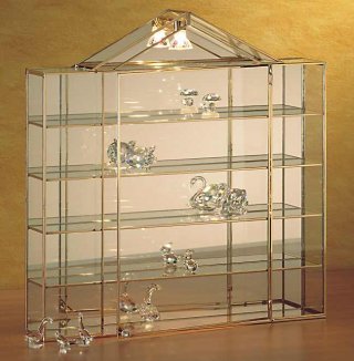 Luxus Sammler Vitrine Memory